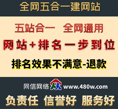 做好營(yíng)銷(xiāo)性網(wǎng)站建設(shè)后的優(yōu)化技巧有哪些